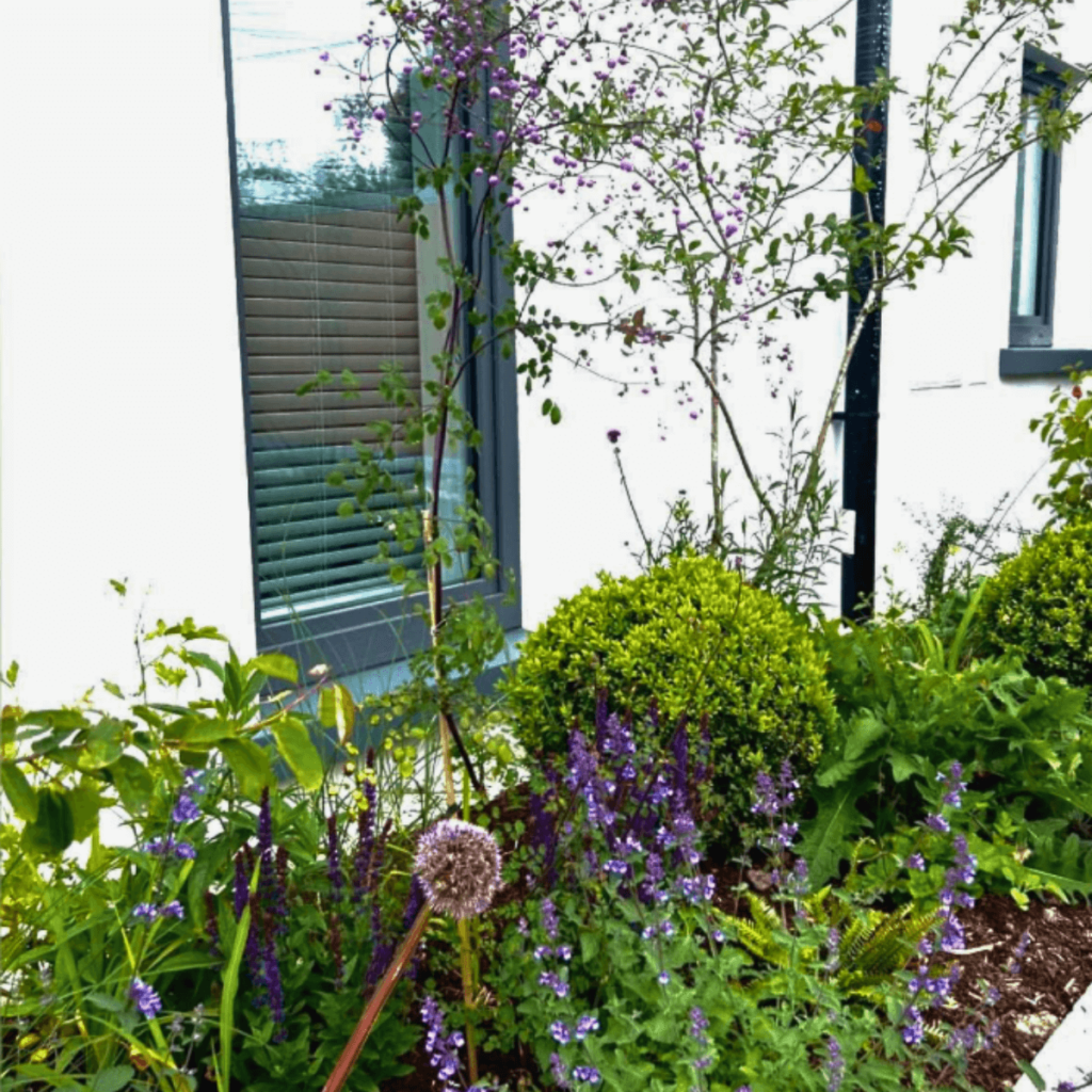 Garden design for rural country home by professional Galway landscaper.