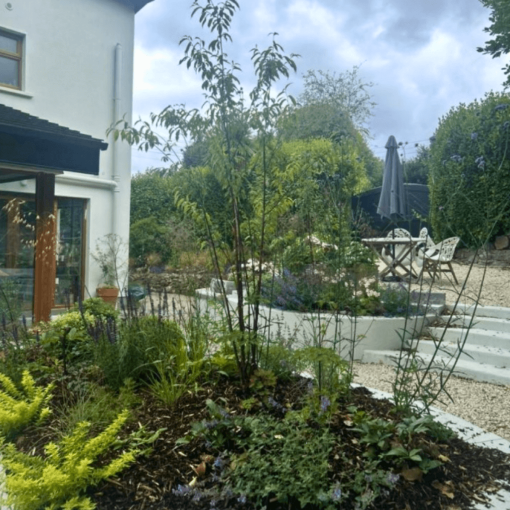 Beautifully landscaped garden in Galway with lush planting design