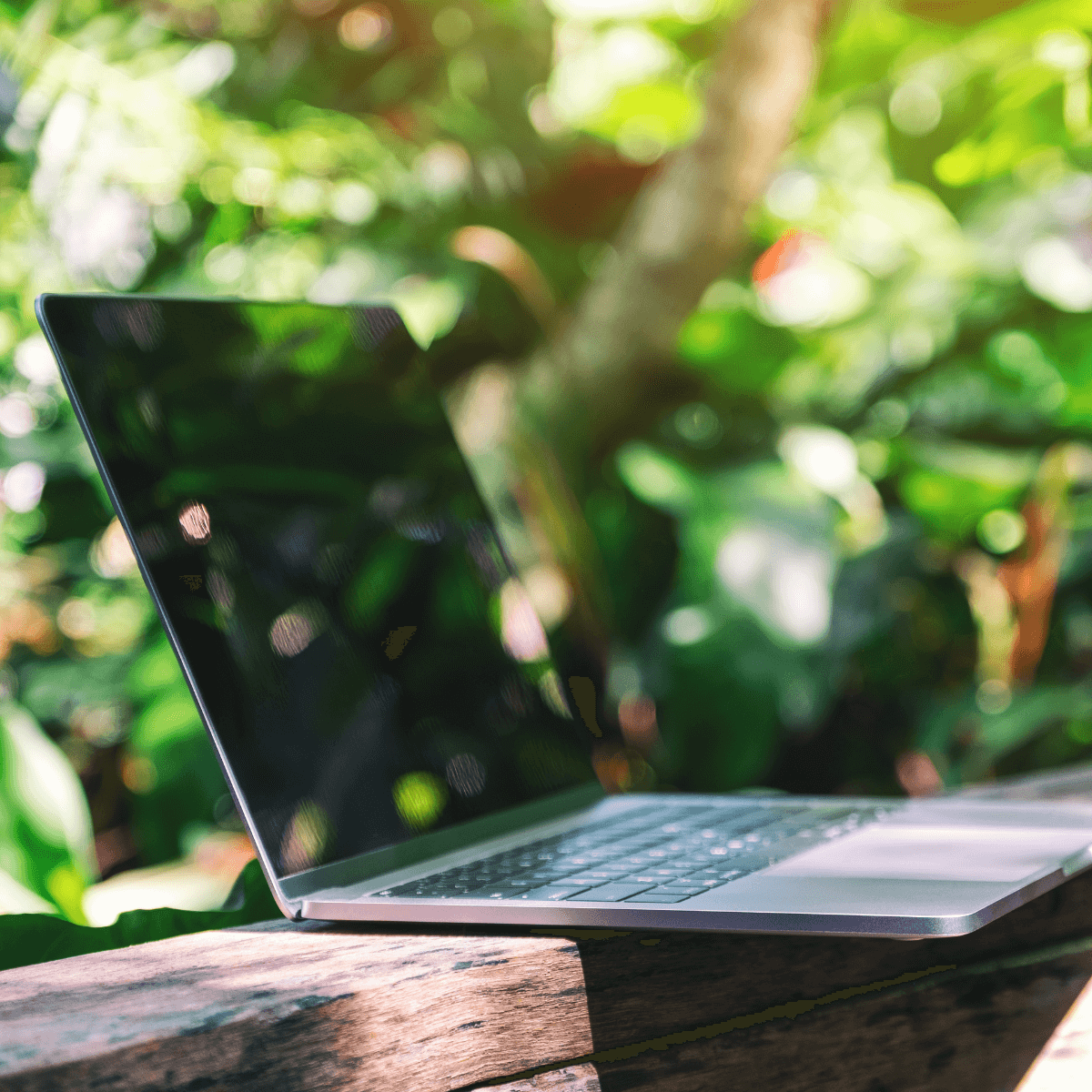 Outdoor laptop setup for garden design work in Galway