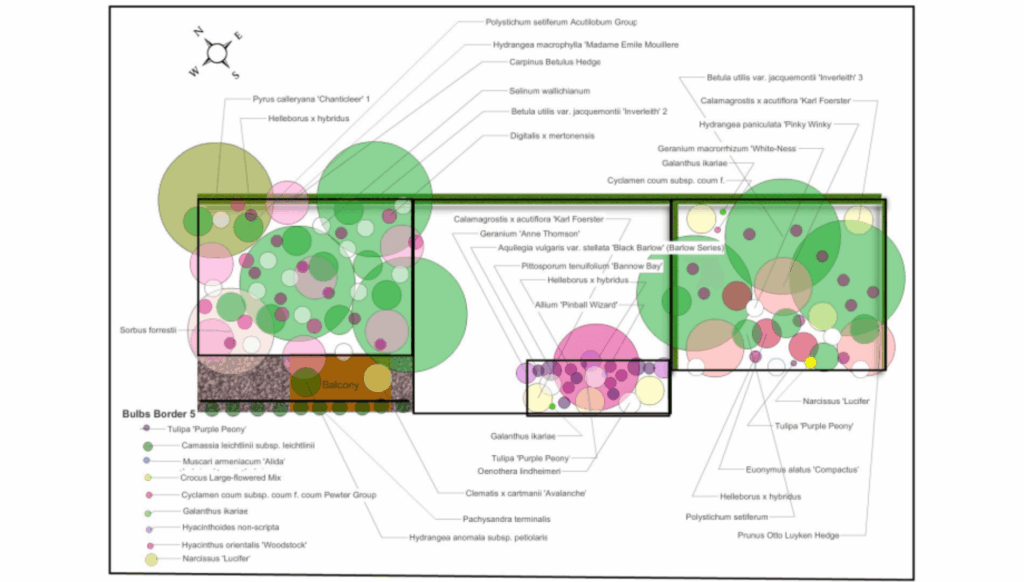 Galway garden planting plan by professional garden designer